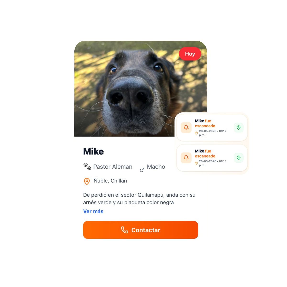 Reencuentro perro perdido en mapa
