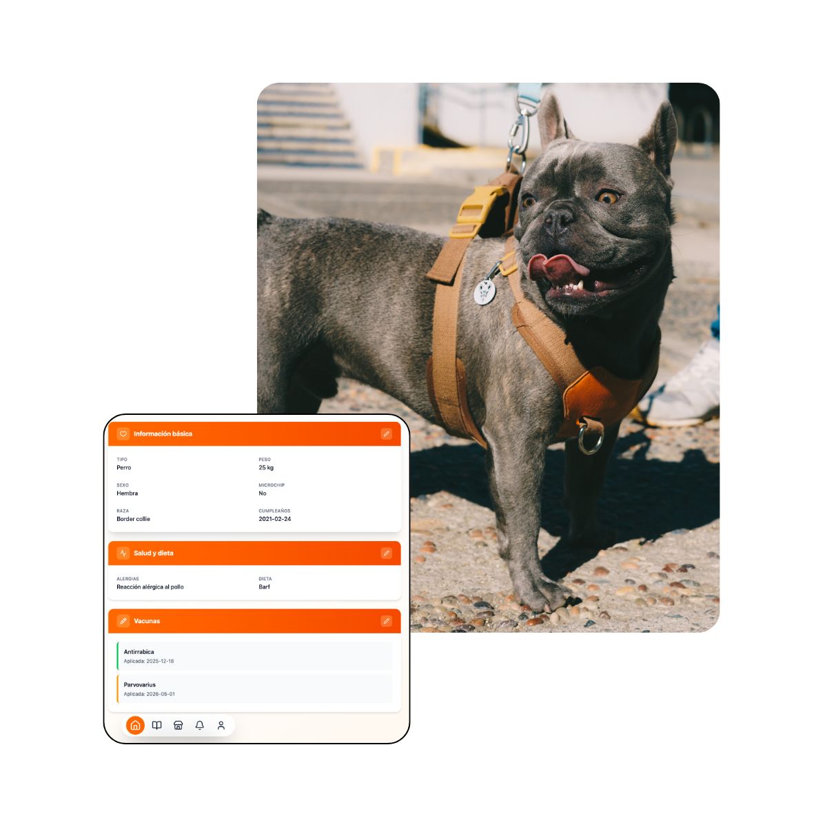 Perfil mascota con detalles médicos TDS