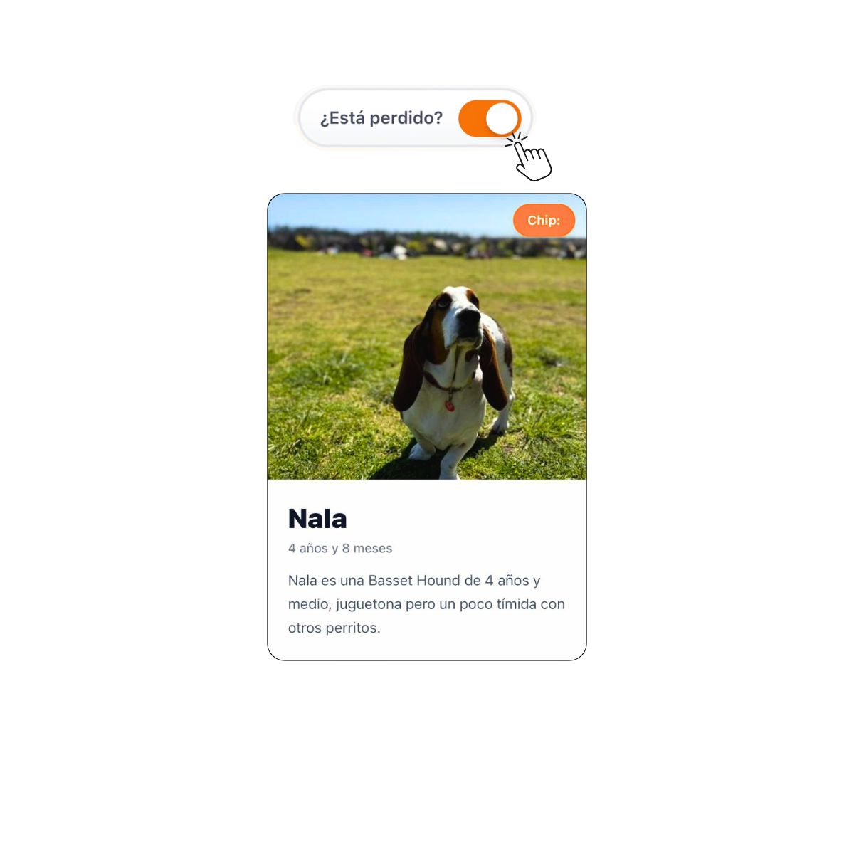 Mapa servicios mascotas TDS