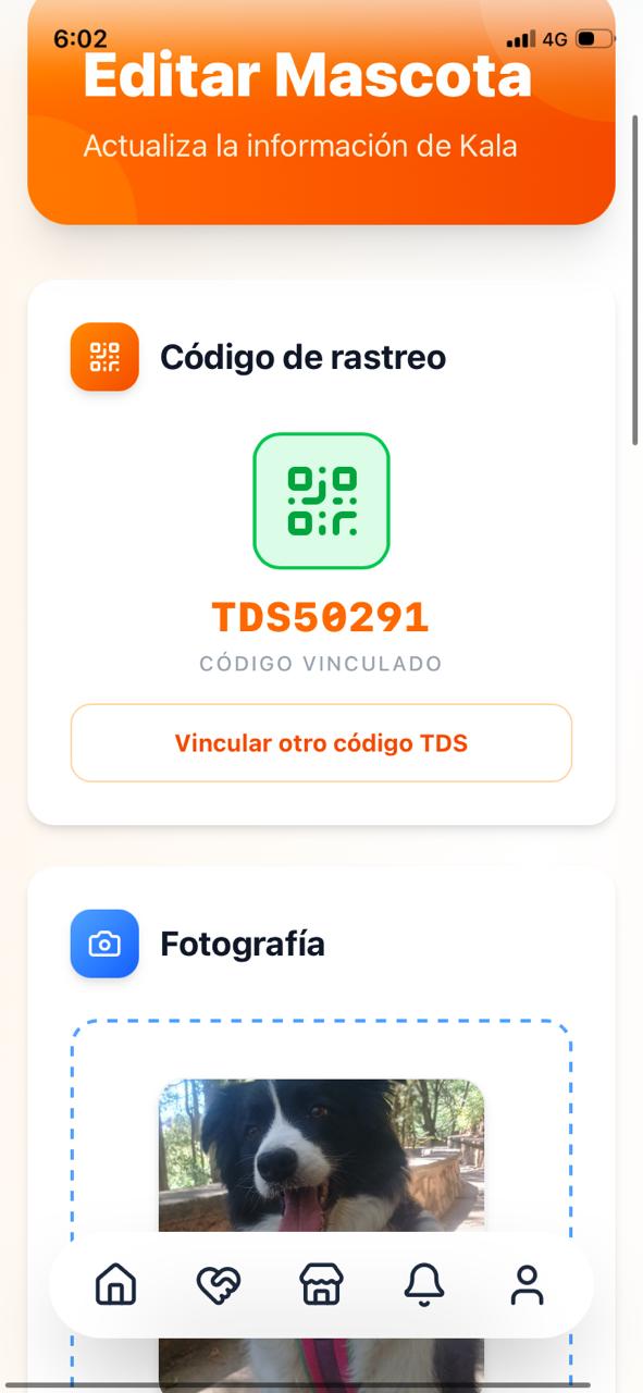 App