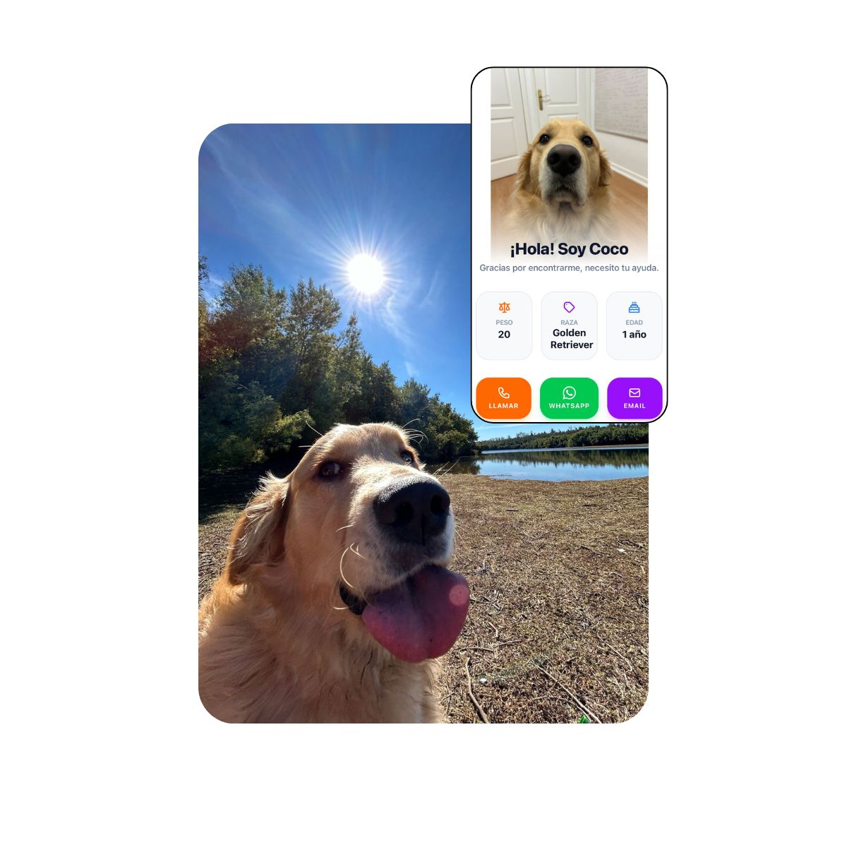 Triple contacto TDS — llamada, WhatsApp, email